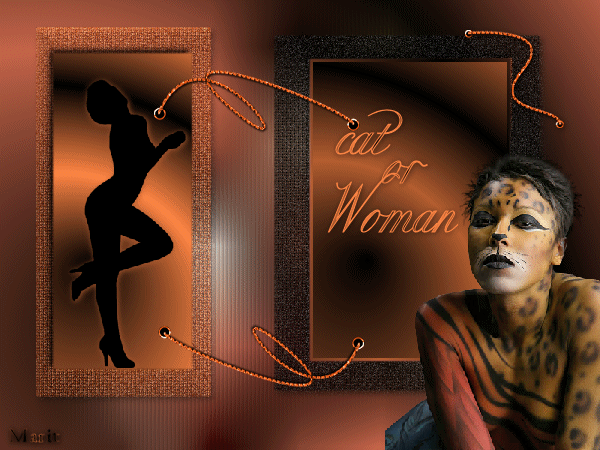 cat woman.gif