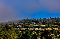 IMG_6801.jpg