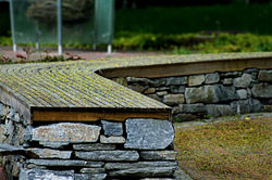 IMG_1250.jpg