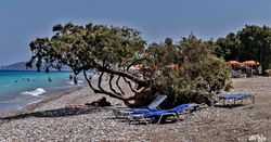 IMG_0119.jpg