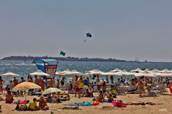 IMG_4254.jpg