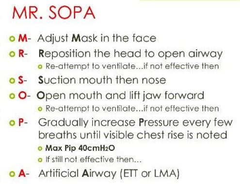MR SOPA_edited.jpg