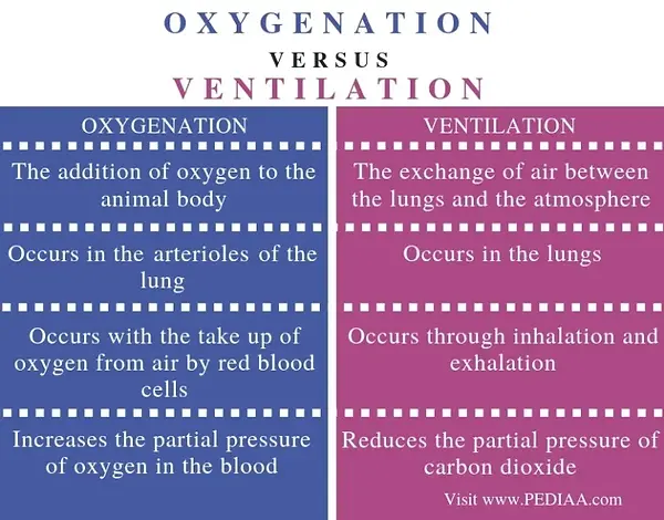 Difference-Between-Oxygenation-and-Ventilation-Comparison-Summary.webp