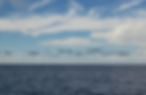 B8CC7339-146D-479D-AB23-D1AA799D85C0[1213].jpg