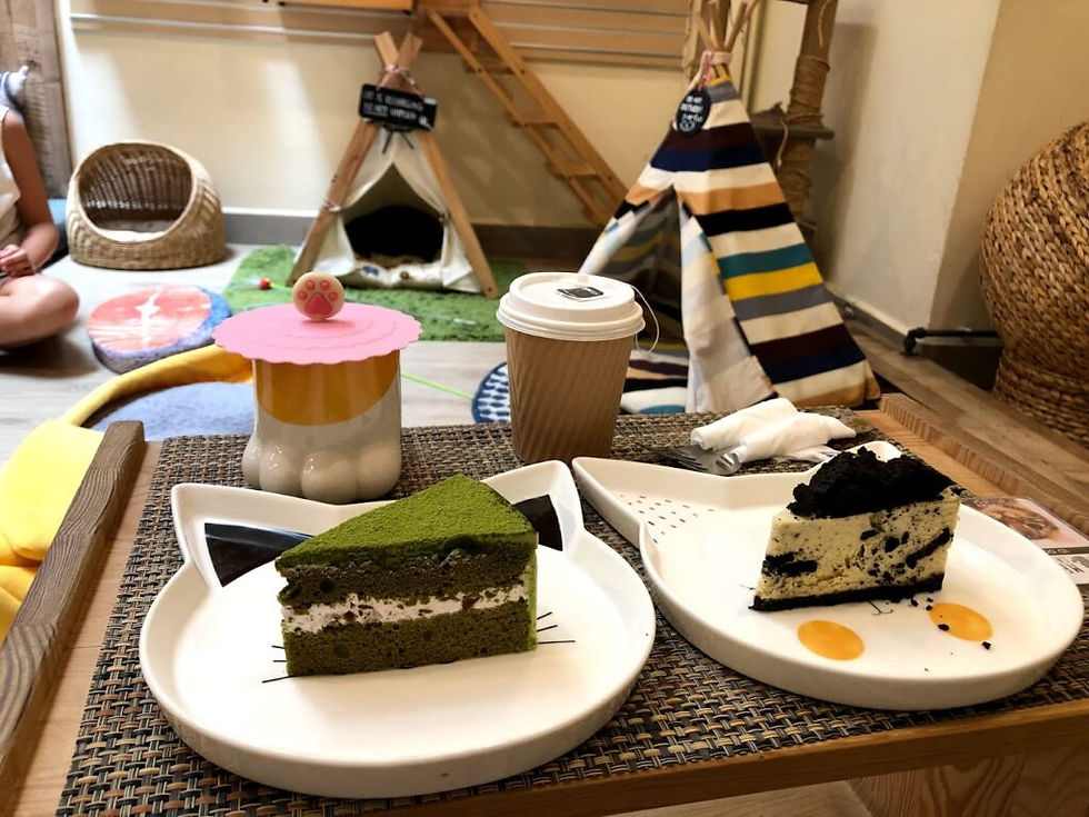 cat-cafes-meomi-cat-cafe-2-1024x768.jpg