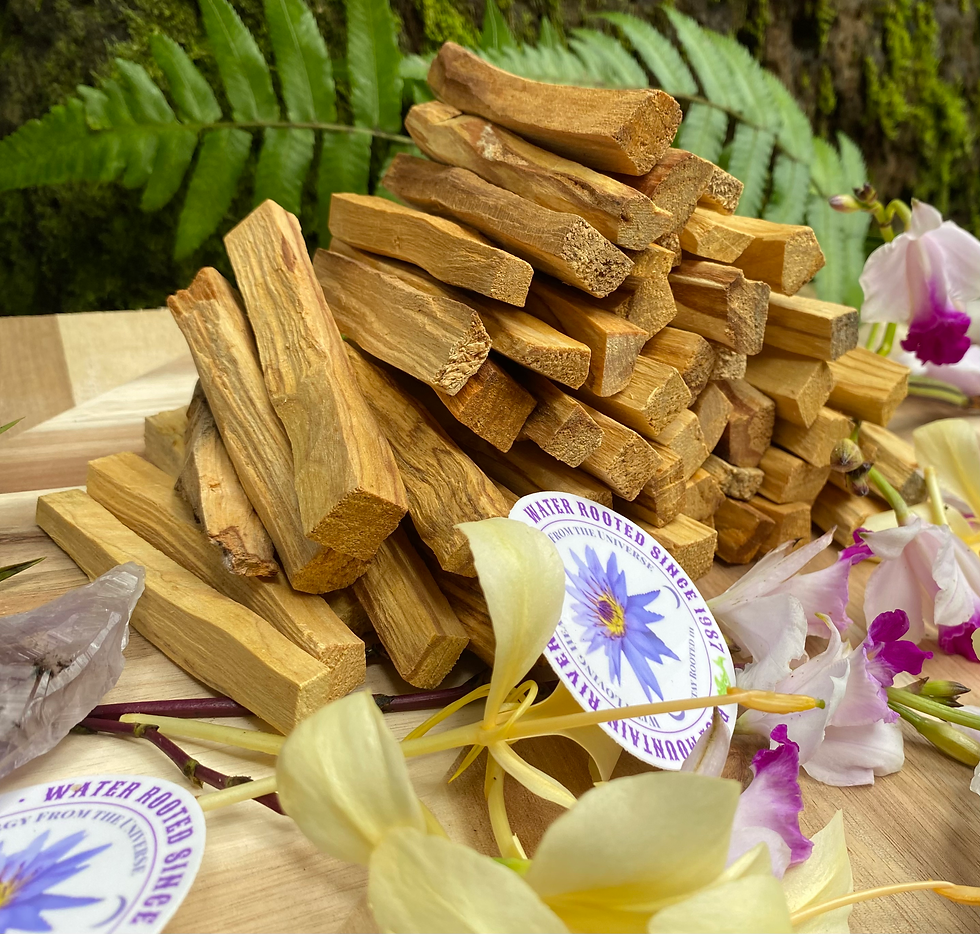 Thumbnail: Bundle front view of Palo santo holy wood bundle