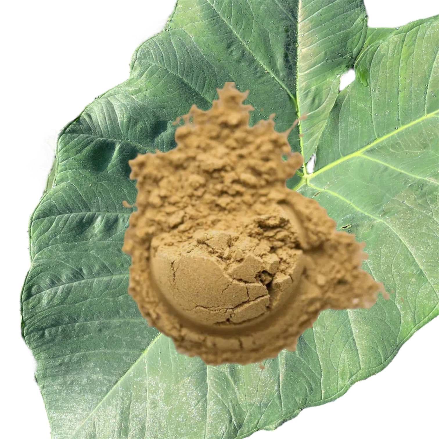 Detox Plant & Mushroom Powder For the Elimination of Toxins