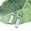 Thumbnail: Amazonite Earrings 