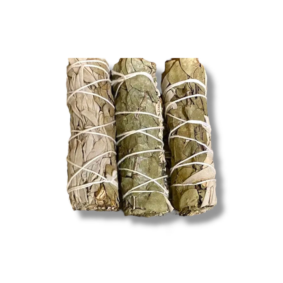 Thumbnail: Eucalyptus and White Sage 4”