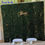 Thumbnail: 8ft Boxwood Greenery Backdrop