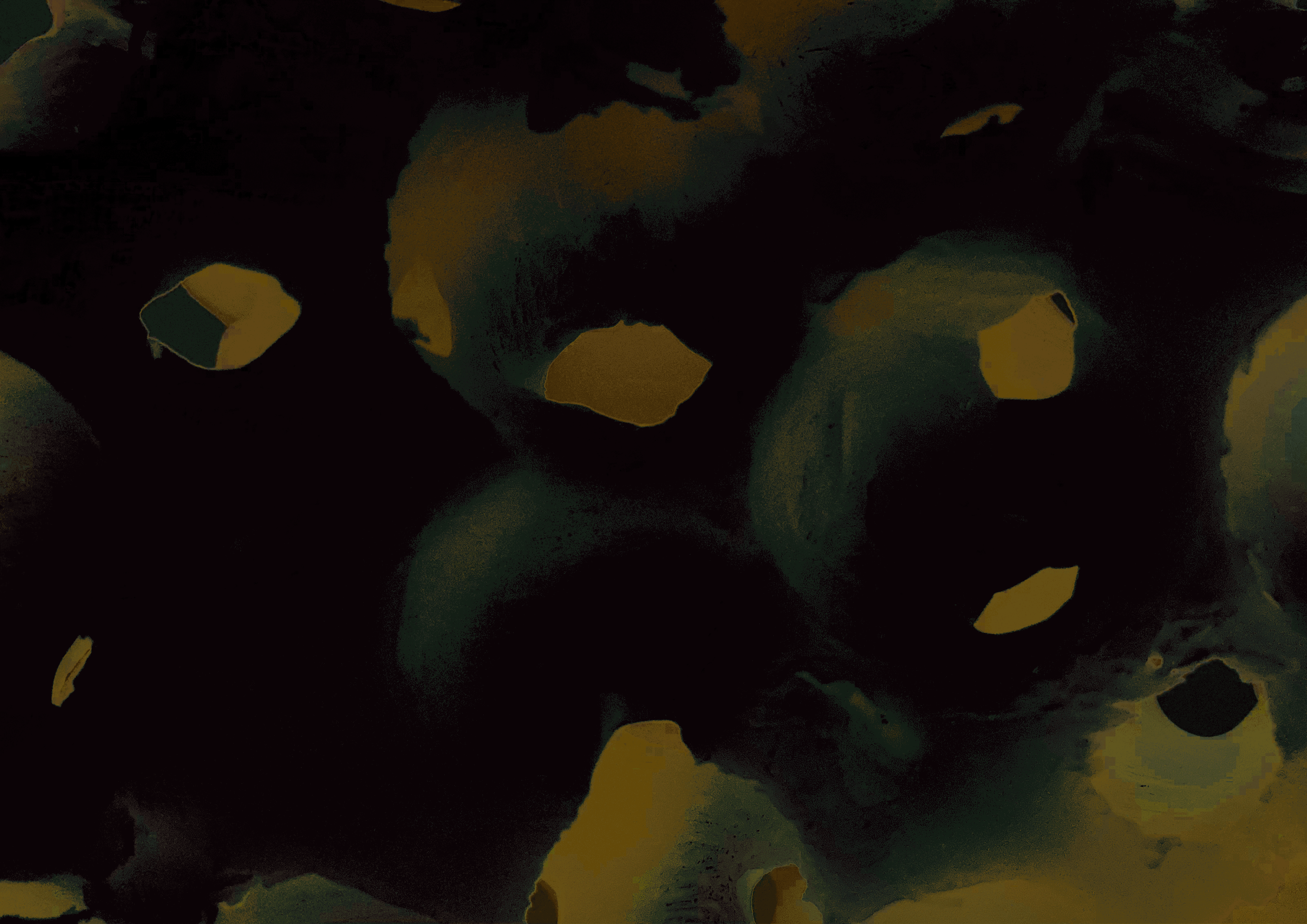 123.gif
