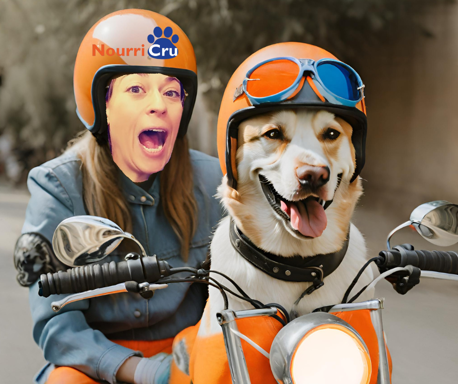 pub moto kiosque nourricru.com chien chat alimentation.png