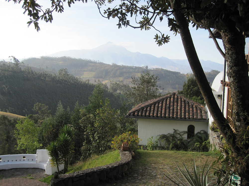 Rooms with a view