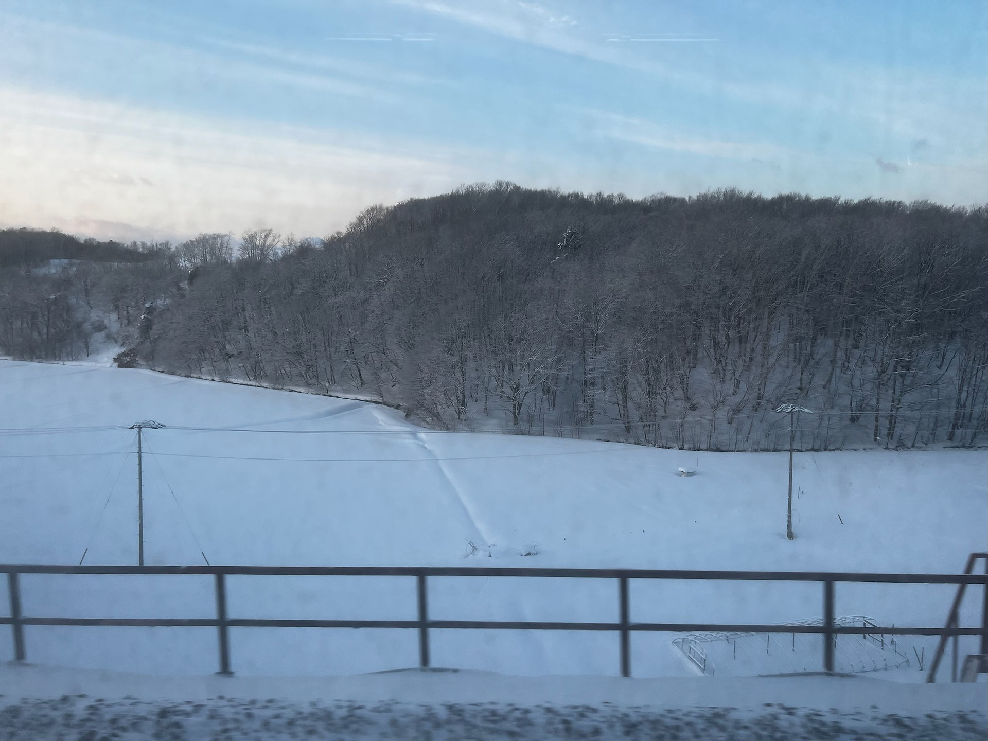 View out the Train Window! 