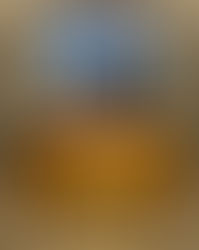 Spring at Huis Ten Bosch & The Golden Bath Onsen Experience