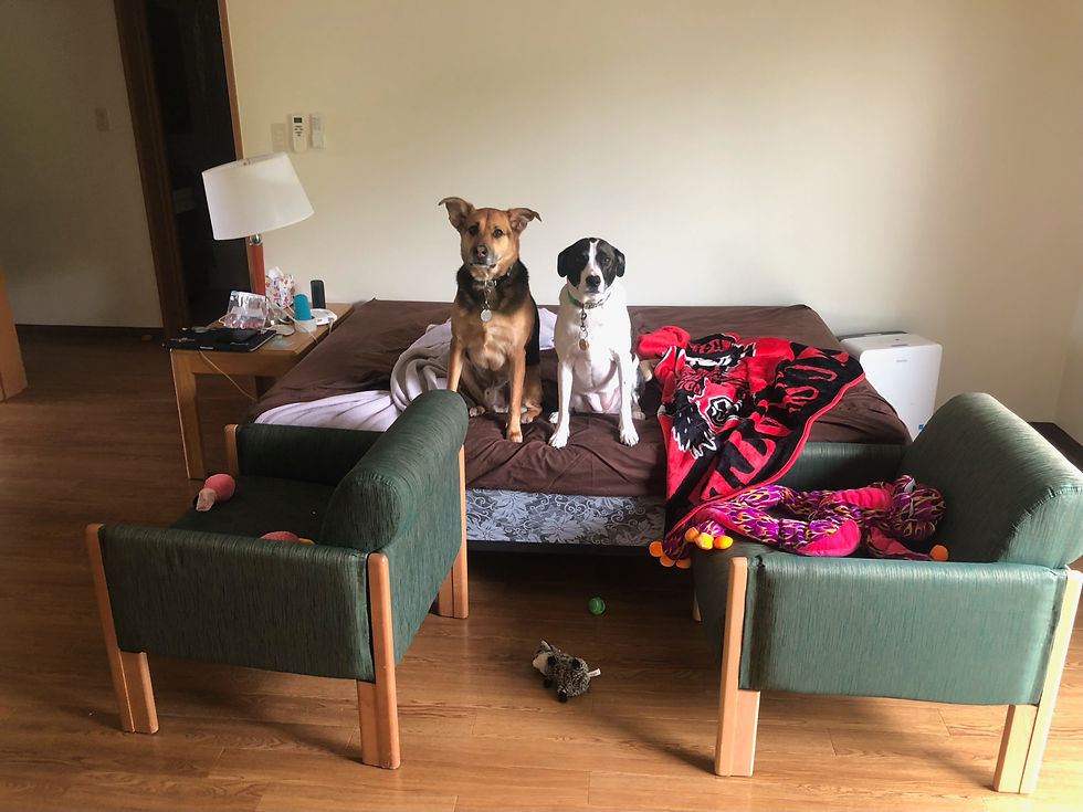 The Movers Stole Our Stuff! Packout & Loaner Furniture