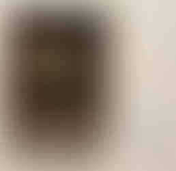 Portrait of a Young Man- Botticelli