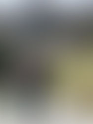 From Spain to Slovenia: Our Final European Country While Living Abroad