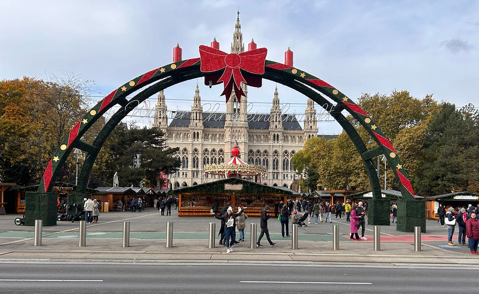Very Merry Christmas In Vienna, Austria