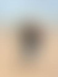 The Navy's Newest Lieutenant Commander!