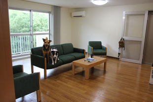 Home Sweet Home: The Housing Process in Sasebo