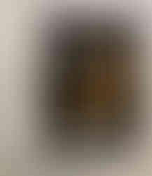 The Woman taken in Adultery- Rembrandt