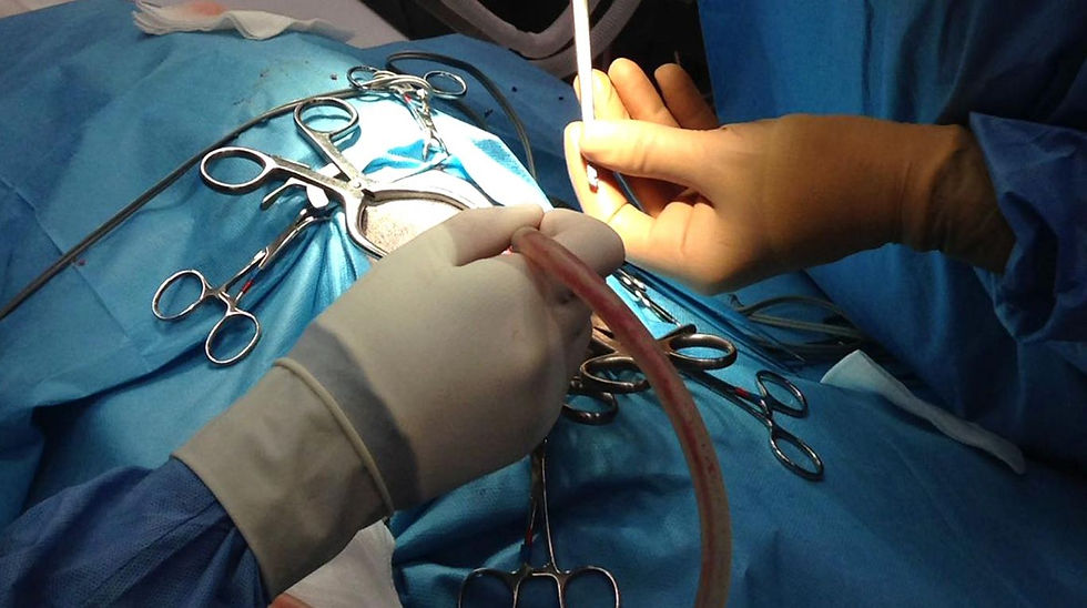 NEUROLOGIA E NEUROCHIRURGIA