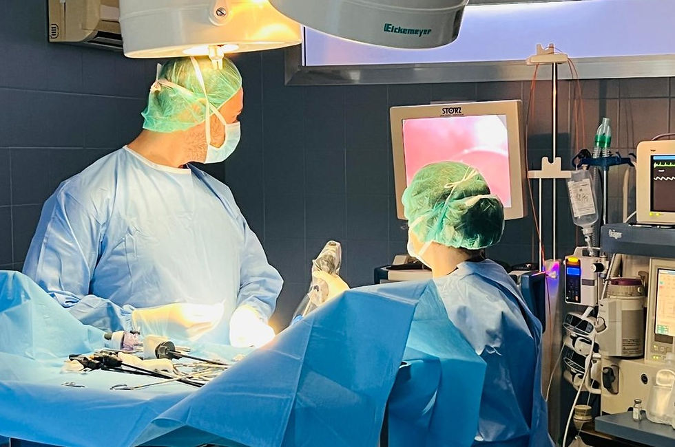 Endoscopia e laparoscopia