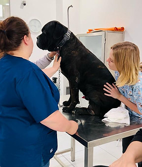 WhatsApp Image 2024-01-18 at 12.56.53.jpeg