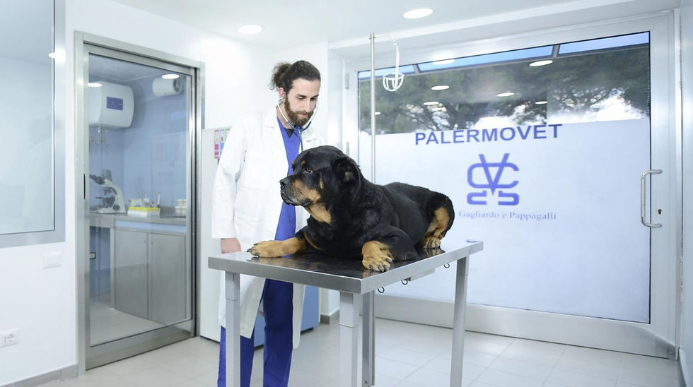 MEDICINA INTERNA