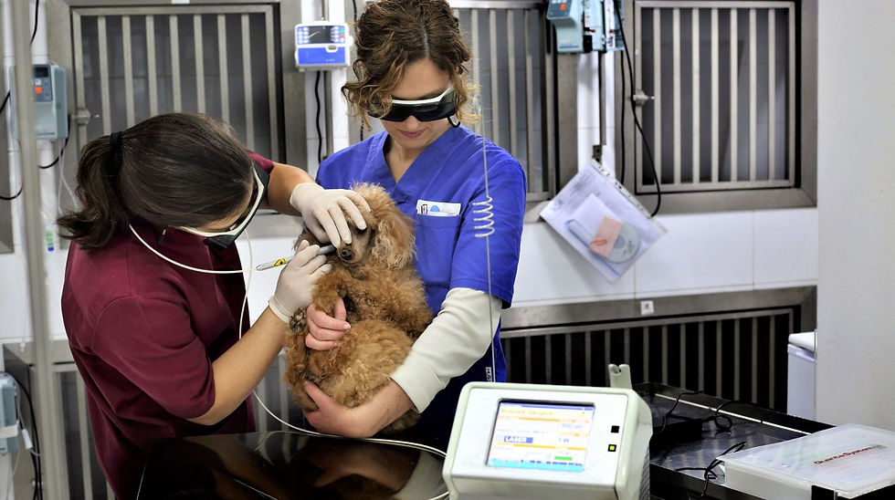 CHIRURGIA LASER E LASERTERAPIA