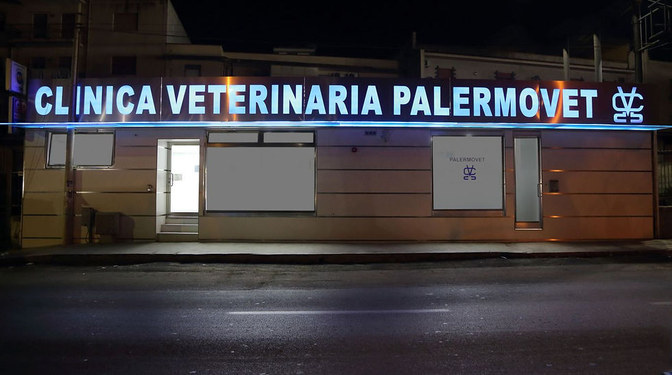PRONTO SOCCORSO H24