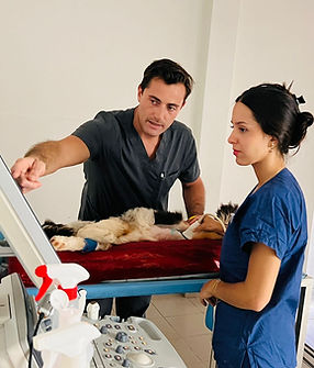 WhatsApp Image 2024-07-19 at 09.58.10 (1).jpeg