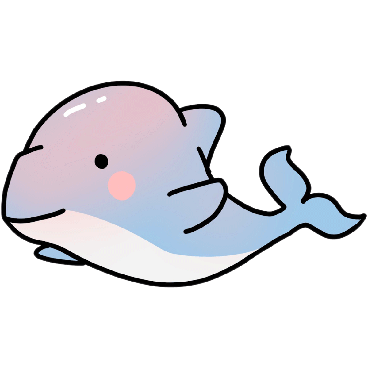 D11_DOLPHINS.gif