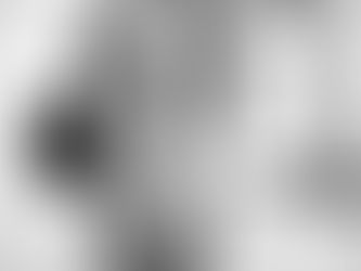 perfil de julia Moretto