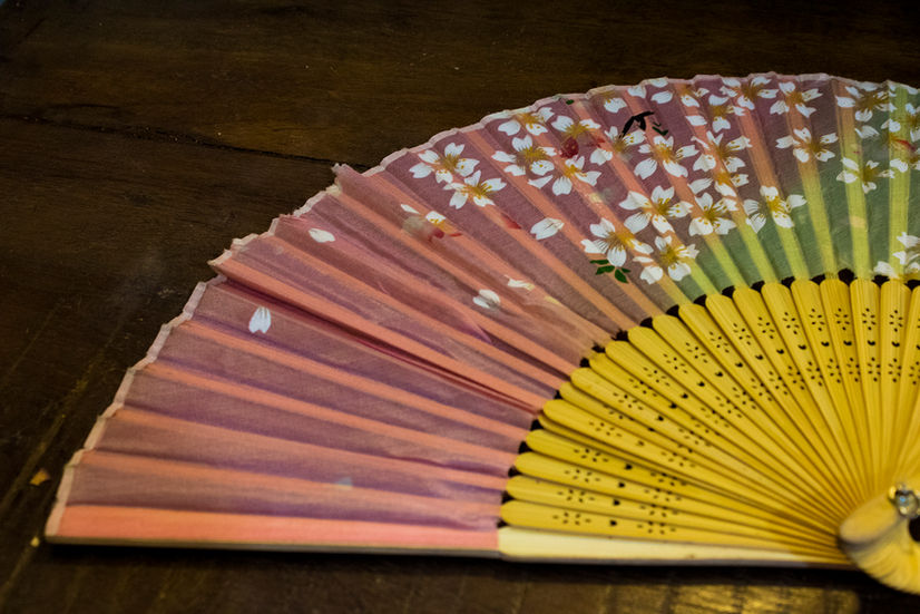 Leque japonês
