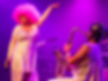 Miss Disco.png