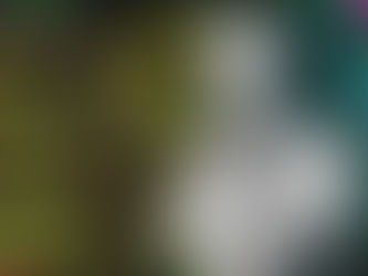 Betting on AI - Norm Miller Article