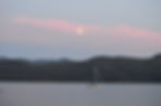 DSC_0297.JPG