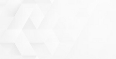 imgi_2_a25ed4_95c4f7f89ab54436a3a2f0d69a2f95c0~mv2.png