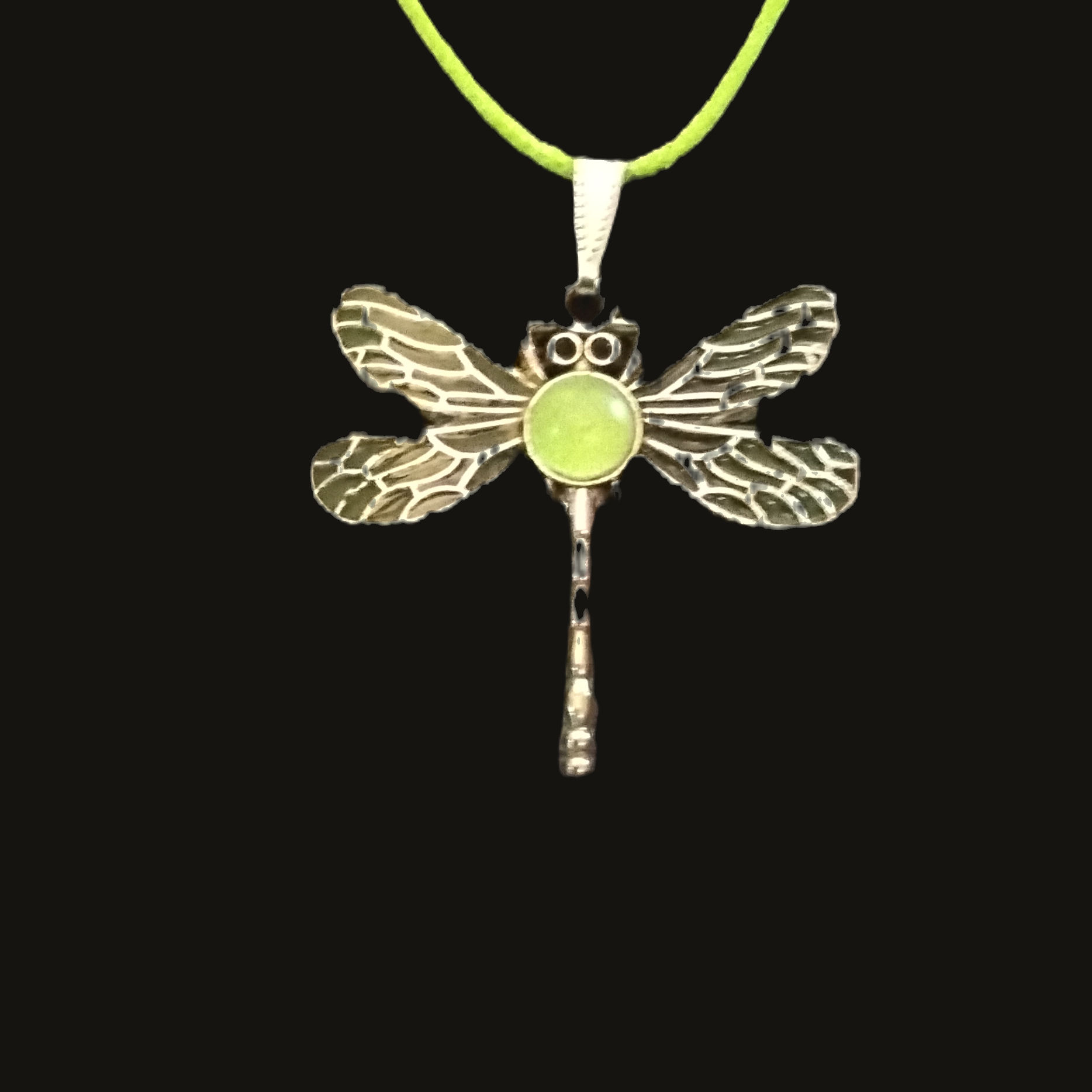 Nature's Light Dragonfly