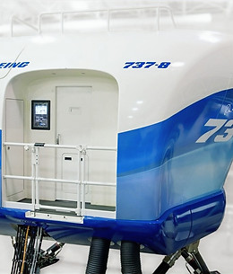 B737 8 TR_edited.jpg