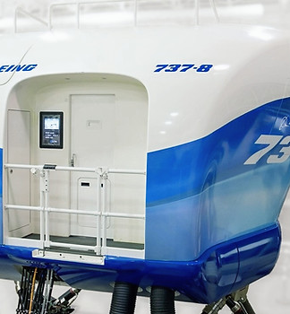 B737 8 TR_edited.jpg