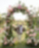 759D7E50-8779-4066-89D6-53BB938AA325_1_105_c.jpeg