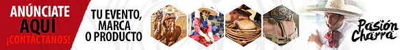 BANNER002.png
