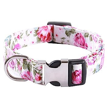 Dog Collar Floral