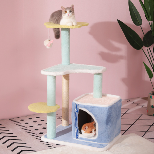 Winter Cat Tree Covenant Climbing- S