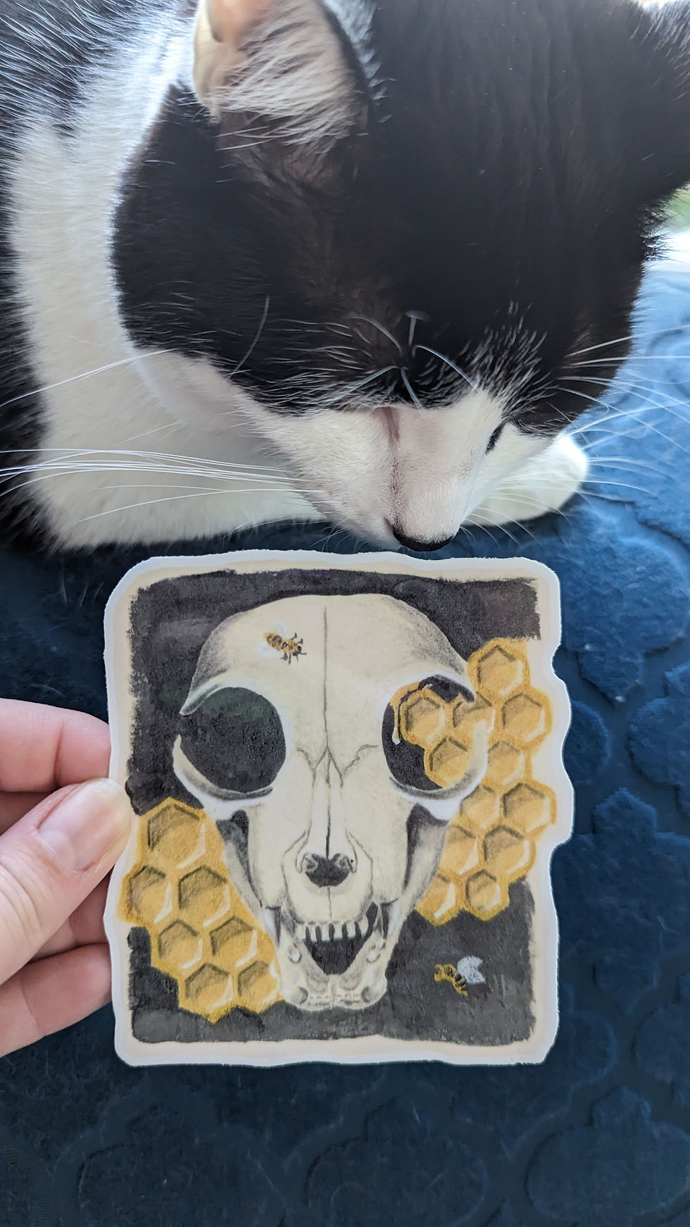 Thumbnail: Cat Skull Sticker