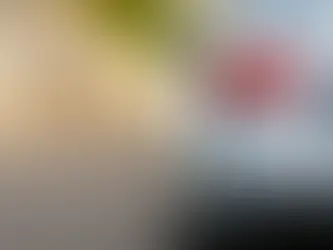 IPVA 2025: veja dúvidas mais comuns sobre o imposto