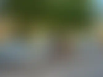 Quase 1 milhão de multas por documentação irregular em dois meses no Brasil